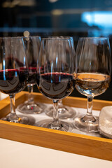 Tasting of rioja wines, visit of winery cellars with french or american oak barrels with agening red wine, Rioja wine making region, Spain