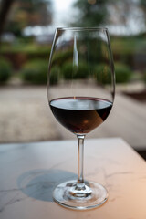 Tasting of red reserva rioja wines, visit of winery cellars in Haro, capital of Rioja wine making region, Spain