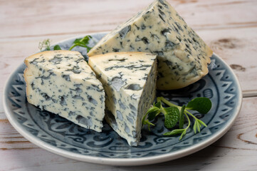 Cheese collection, piece of French blue cheese auvergne or fourme d'ambert
