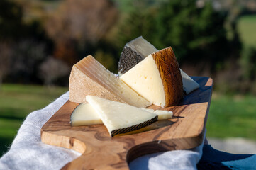 Assortment of Spanish hard cheeses, curado, manchego, goat and sheep cheeses served outdoor with...