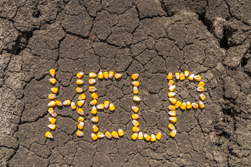 Word HELP from corn kernels over cracked ground. Field of Southern Ukraine.
