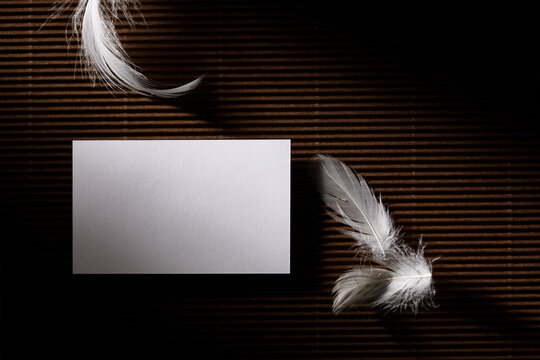 Flat lay mockup business card with fethers