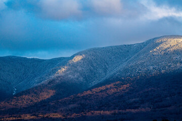 snow covered trees in white mountains national forest at golden hour