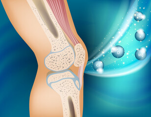 The concept of vitamins therapy for the healthy knee joint. Knee bone human anatomy. - obrazy, fototapety, plakaty