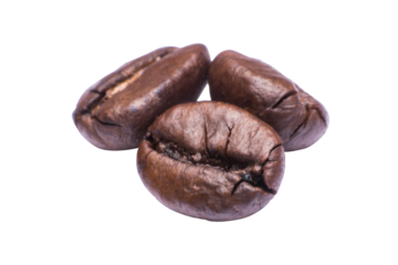 close up coffee bean