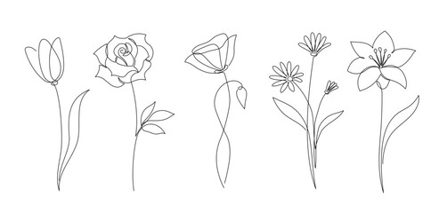 Flower set continuous outline style. Decoration flower, botanical floral element, blossom one line art for wedding, spring concept background. Vector illustration