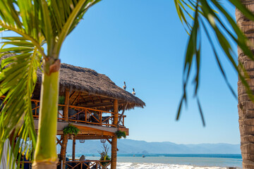 A beachfront cafe restaurant with an open air patio and pelicans on the straw hut roof along the Olas Altas Malecon region of the Zona Romantica in the Mexican resort town of Puerto Vallarta, Mexico.