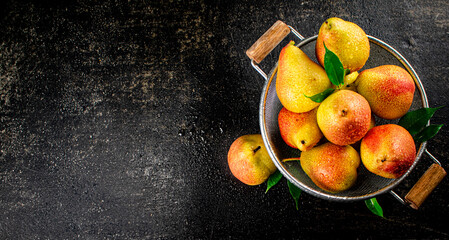 Juicy pears in a colander with foliage.