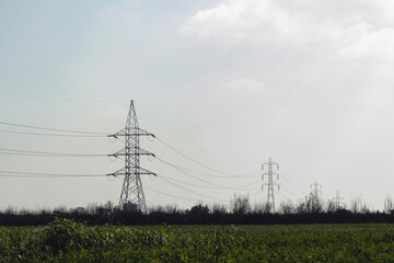 power lines in the field
