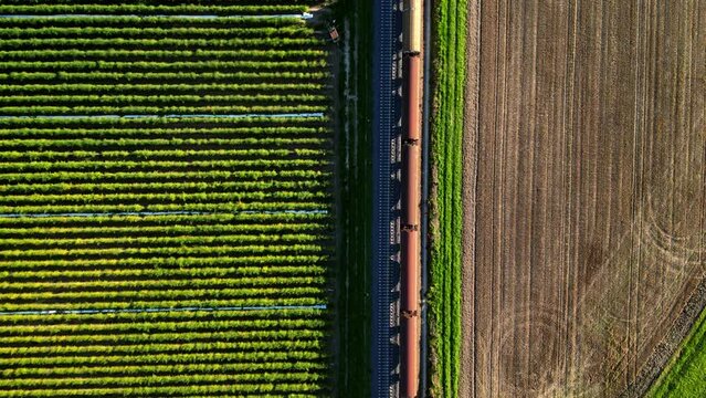 Colorful freight train on a railway line through rural area passing by seen directly from above from a drone perspective, Germany
