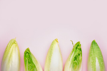 Bunches of fresh ripe endive on pink background, closeup