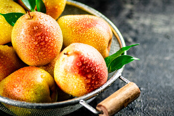 Juicy pears in a colander with foliage.
