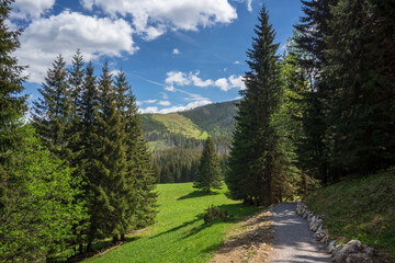 Fototapeta na wymiar Kalatowki Glade scenic place of Western Tatra Mountains.