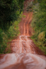 Camino de tierra en la selva del parque Nacional Iguazu. Argentina. Ruta 101.	