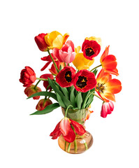 Big flowers bouquet of multicolored tulips in vintage glass vase isolated on white color background. Business card. Invitation postcard. International holiday