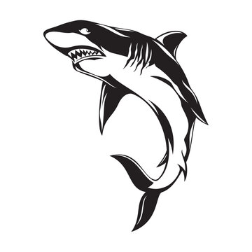 Shark Silhouette Vector illustration - Black and white Shark clipart