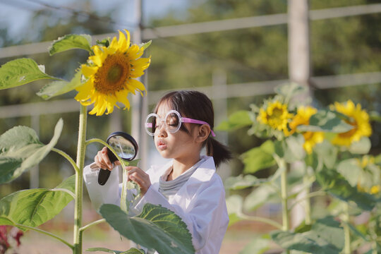 A girl is studying and learning to grow vegetables.Smart Farming, the new innovation of farming, cultivating, growing vegetables.