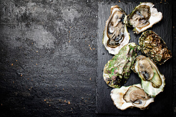 Raw oysters on a stone board. 