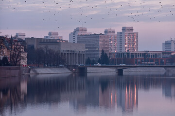 Wrocław - ptaki nad miastem © Grzegorz Polak
