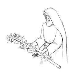 Pencil drawing. Blooming Rod of Aaron