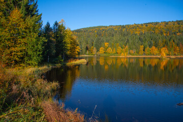 Le lac de Lispach (La Bresse / Vosges) en automne
