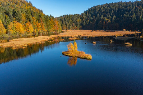 Le lac de Lispach (La Bresse / Vosges) en automne