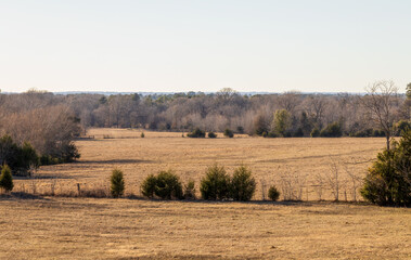 Fototapeta na wymiar Rural landscape pasture. Texas ranch farmland in wintertime.