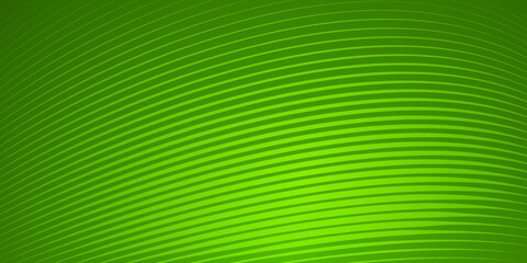 Abstract background of wavy lines in green colors