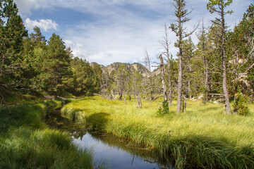 Randonnée au Pic de Madrès dans les Pyrénées-Orientales en été