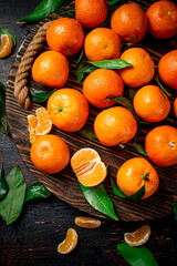 Juicy tangerines with leaves on a wooden tray. 