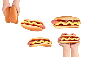 Hot dog in woman hand isolated on white background. Copy space.