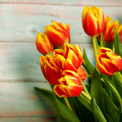 there are a lot of tulips on a blue background nearby . red and yellow tulips.  flowers. birthday is a holiday . spring. copy space