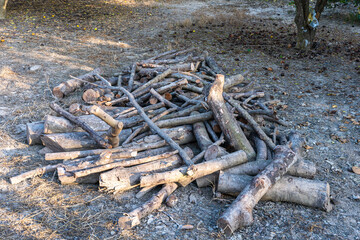 Fototapeta na wymiar log with a pile of chopped wood use in fire place at home stored on forest woods green biomass energy in the forest.