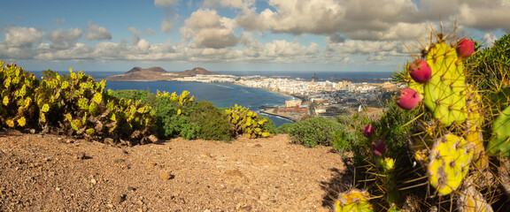 Las Palmas Gran Canaria Panorama