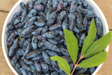 Fresh blue honeysuckle, also known as Honey berry, a background of blue berries with green leaves
