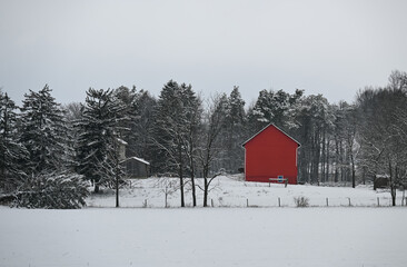 red barn in winter © Carlos