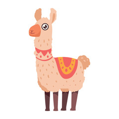Obraz premium perubian llama standing