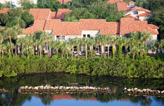 Tampa City Harbour Island Residential Houses