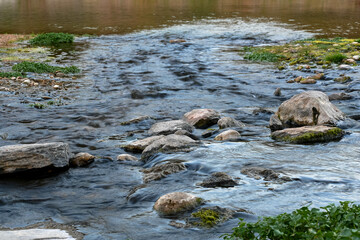 Feeding stream to the lake