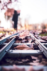 Railroad track trail covered with brown autumn leaves