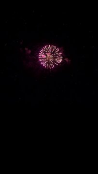 Quality vertical video of beautiful salute fireworks
