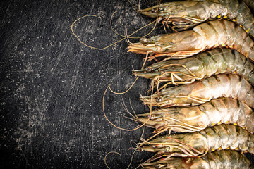 Fresh uncooked raw shrimp. On a black background.