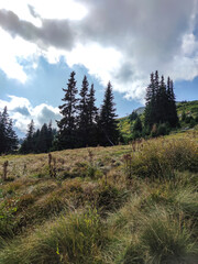 Autumn view of Vitosha Mountain, Bulgaria