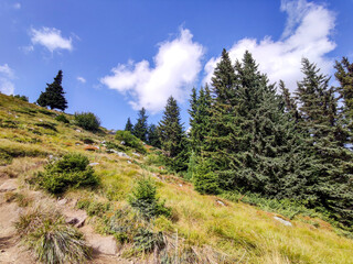 Autumn view of Vitosha Mountain, Bulgaria