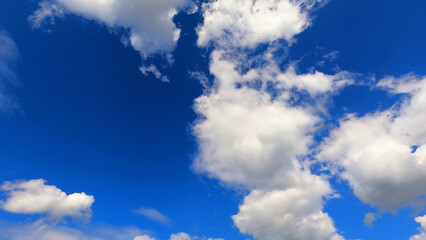 white clouds float in the blue sky