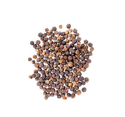 pepper corn   on transparent png