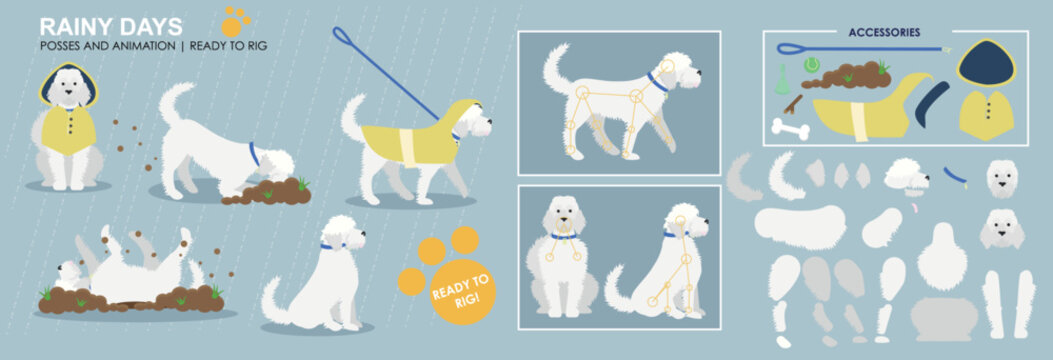 Dog character ready to rig for animation. Vector assets. white labradoodle dog playing with accessories and additional poses. Collection, set.	
