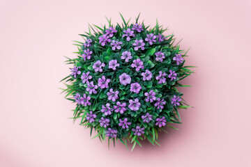 Green and purple flower on pink background. Valentines day concept, background on website.