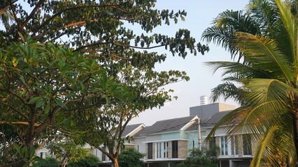 Fototapeta na wymiar sunset coconut palm and huge tree at public park garden with building of modern house background 