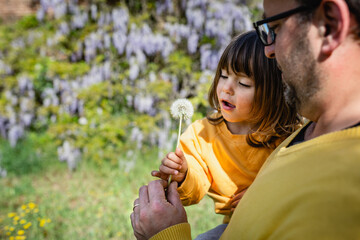 small daughter taking dandilion from the father